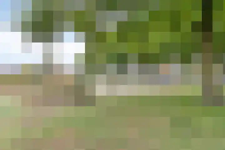 Zonnedauw 4 Sevenum thumbnail 46