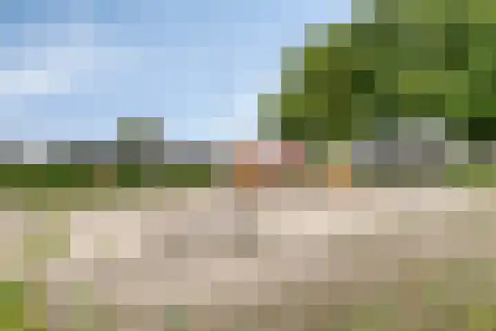 Zonnedauw 4 Sevenum thumbnail 47