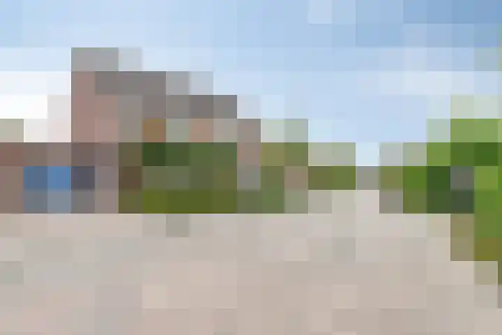 Zonnedauw 4 Sevenum thumbnail 5