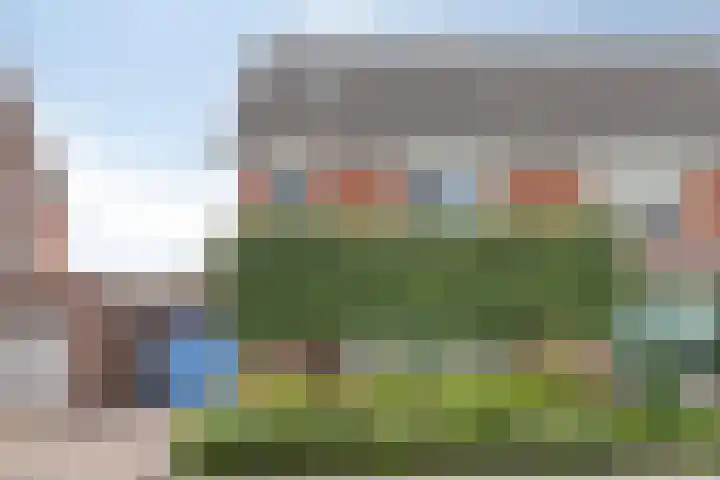 Zonnedauw 4 Sevenum thumbnail 7