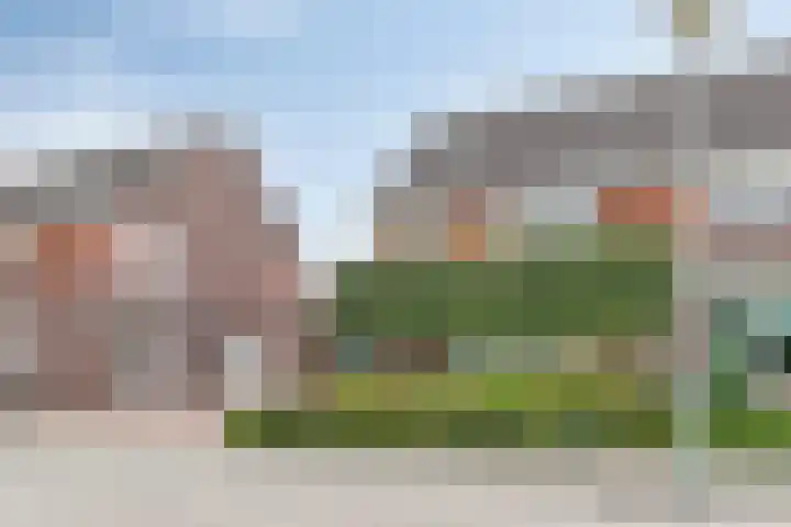 Zonnedauw 4 Sevenum thumbnail 8