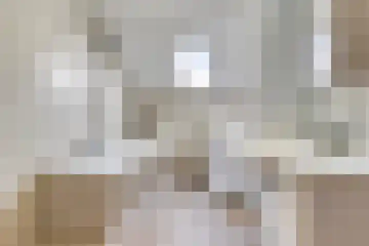 Zonnedauw 4 Ter Apel thumbnail 13