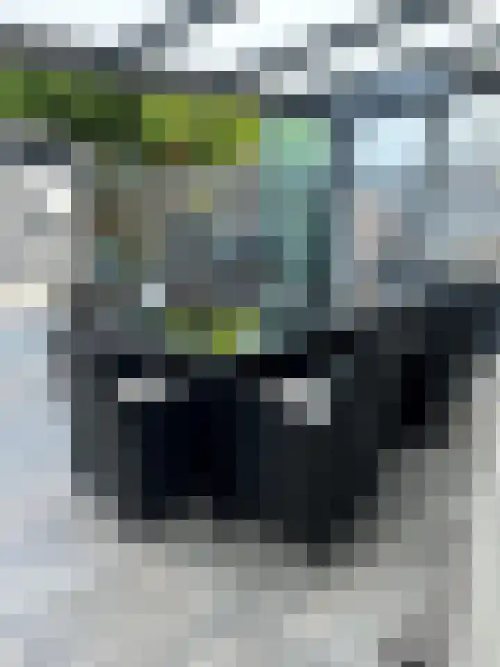 Zonnedauw 4 Ter Apel thumbnail 4