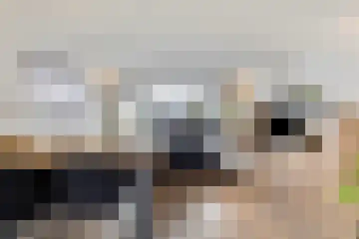 Zonnedauw 4 Ter Apel thumbnail 9