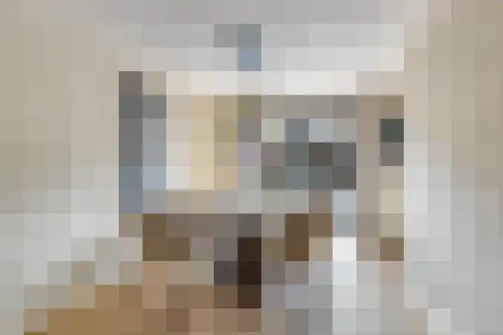 Zonnedauw 40 Bovensmilde thumbnail 10