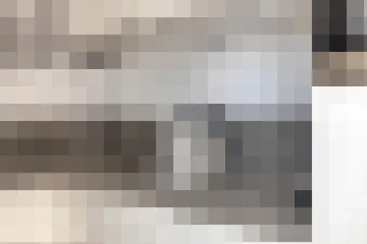 Zonnedauw 40 Bovensmilde thumbnail 13