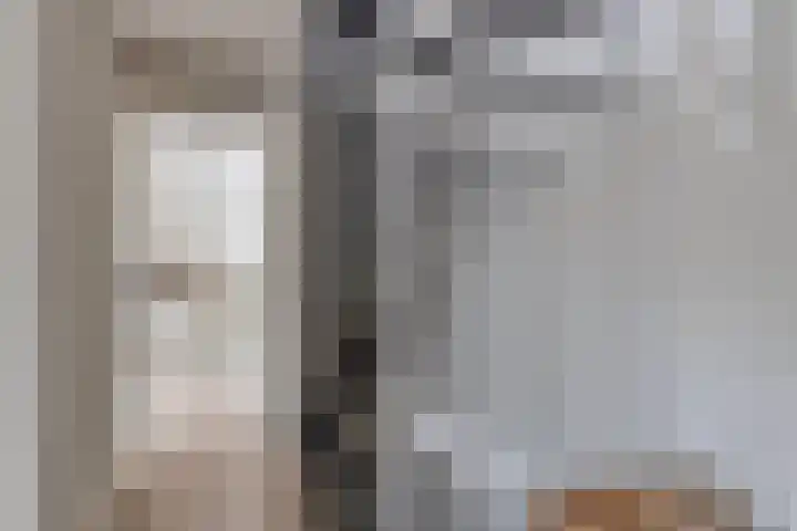 Zonnedauw 40 Bovensmilde thumbnail 17