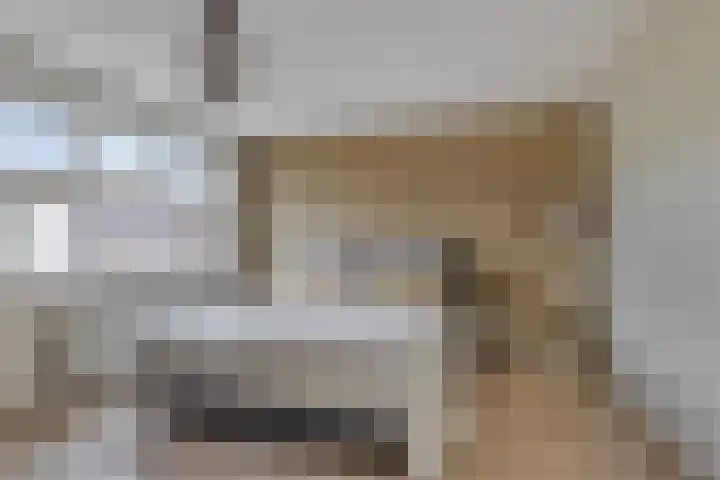 Zonnedauw 40 Bovensmilde thumbnail 18