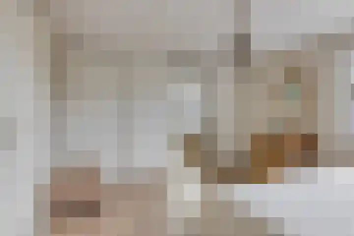 Zonnedauw 40 Bovensmilde thumbnail 19