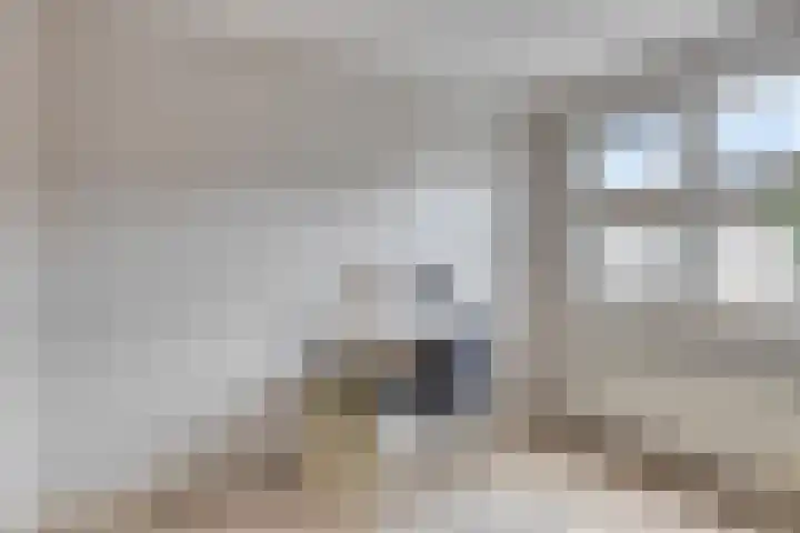 Zonnedauw 40 Bovensmilde thumbnail 21