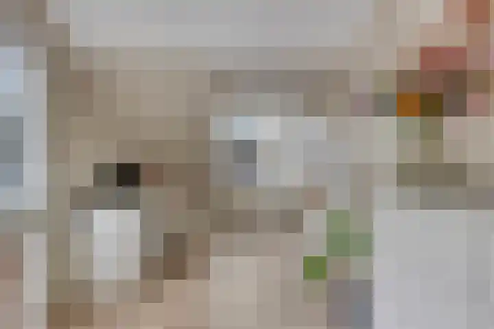 Zonnedauw 40 Bovensmilde thumbnail 23
