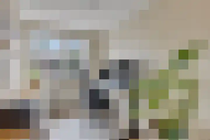 Zonnedauw 40 Bovensmilde thumbnail 24