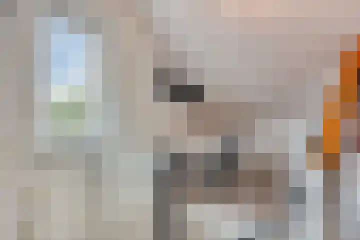 Zonnedauw 40 Bovensmilde thumbnail 27