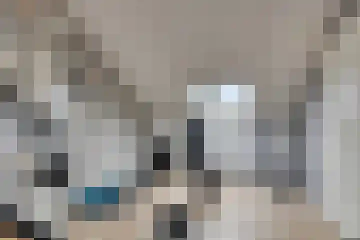 Zonnedauw 40 Bovensmilde thumbnail 29