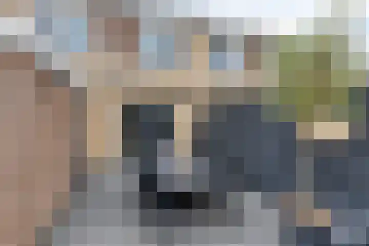 Zonnedauw 40 Bovensmilde thumbnail 31