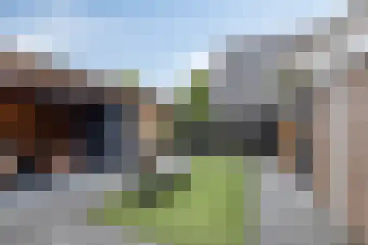 Zonnedauw 40 Bovensmilde thumbnail 32