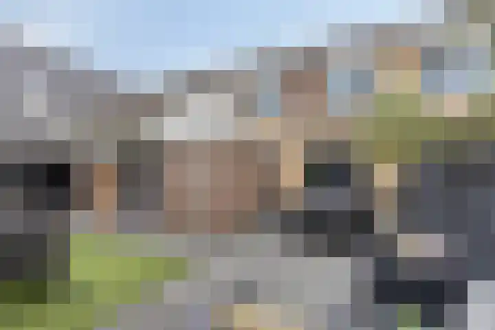 Zonnedauw 40 Bovensmilde thumbnail 33