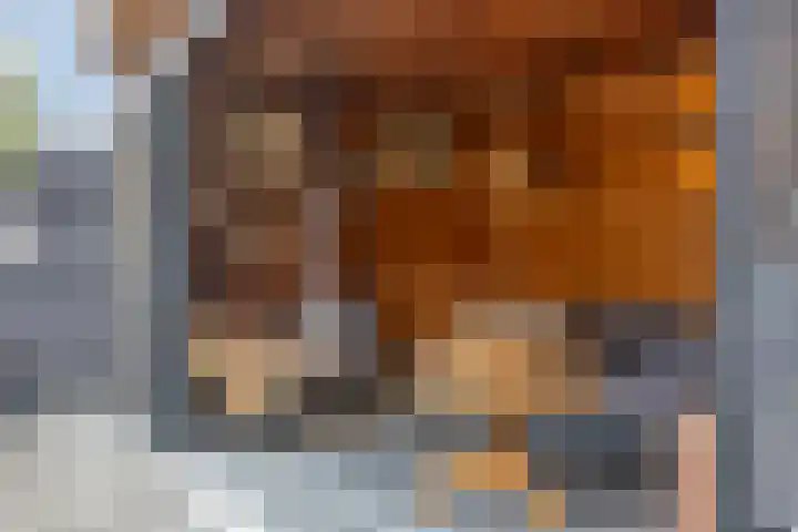 Zonnedauw 40 Bovensmilde thumbnail 34
