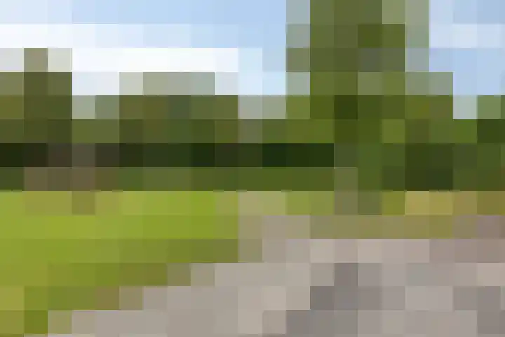 Zonnedauw 40 Bovensmilde thumbnail 38