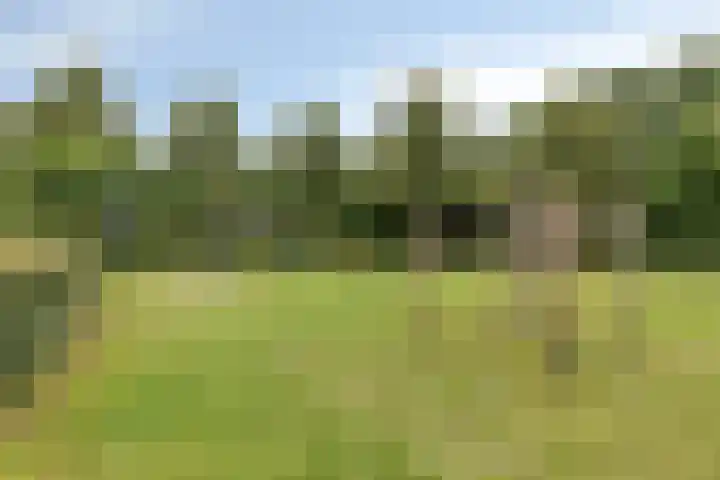 Zonnedauw 40 Bovensmilde thumbnail 39