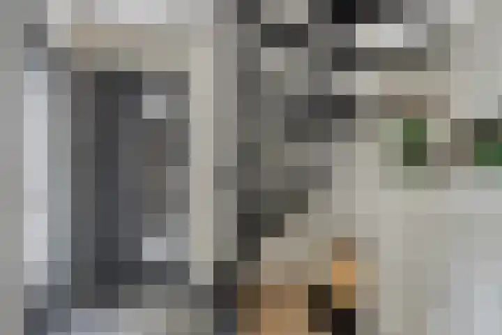 Zonnedauw 40 Bovensmilde thumbnail 4