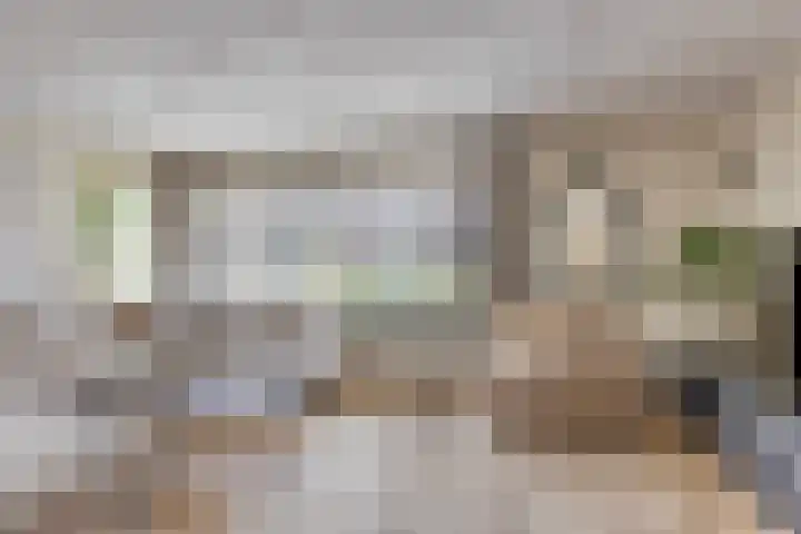 Zonnedauw 40 Bovensmilde thumbnail 5