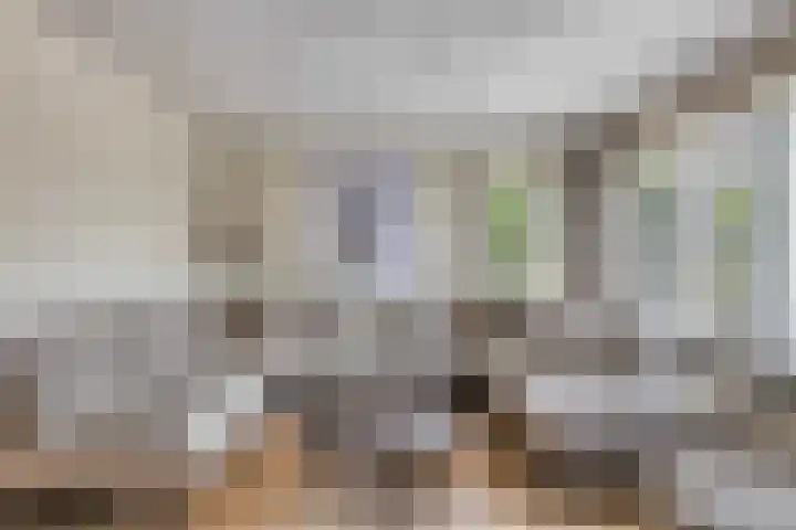 Zonnedauw 40 Bovensmilde thumbnail 6