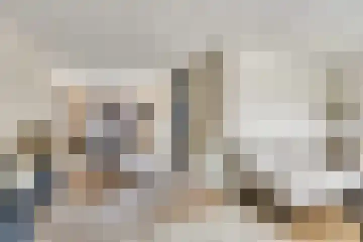 Zonnedauw 40 Bovensmilde thumbnail 9