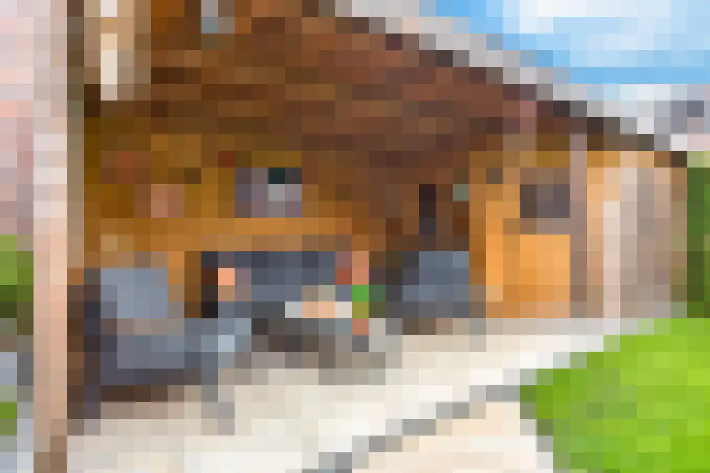 Zonnedauw 43 De Meern thumbnail 16