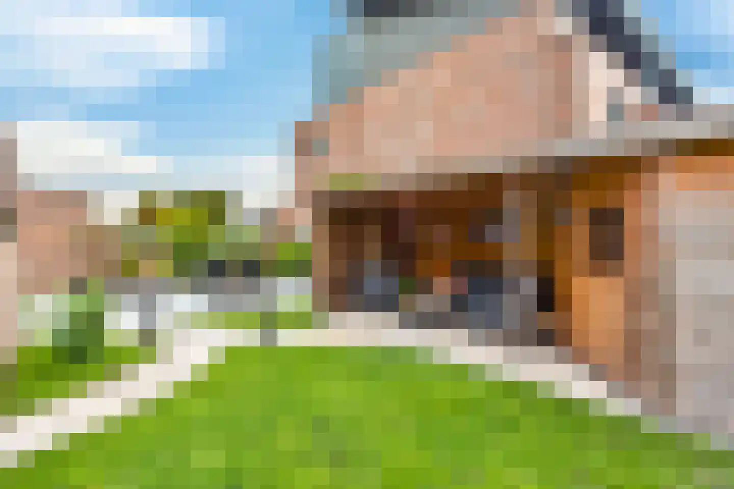 Zonnedauw 43 De Meern thumbnail 18