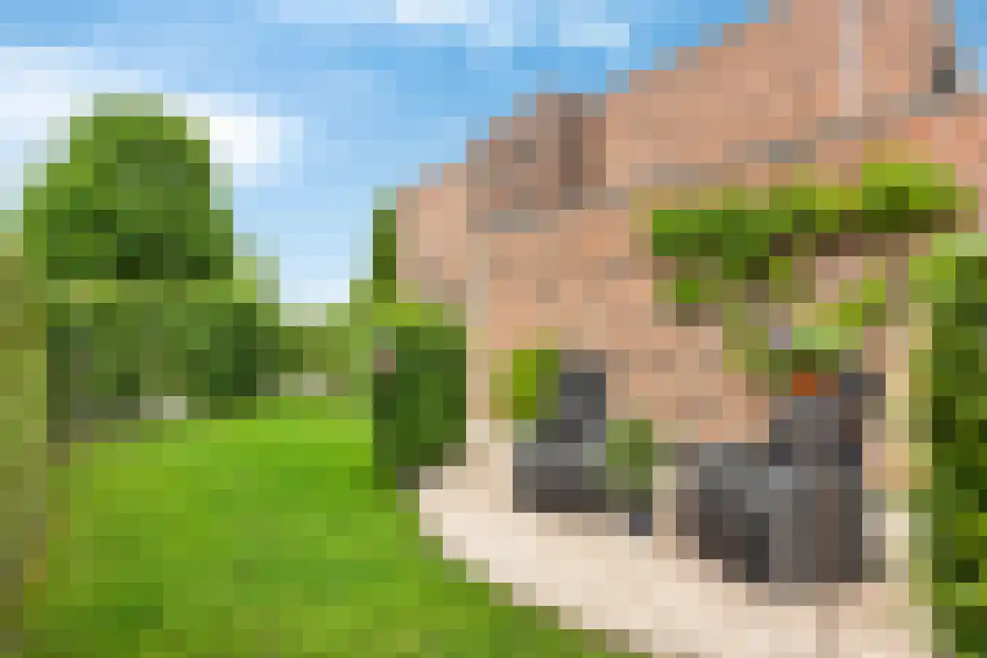 Zonnedauw 43 De Meern thumbnail 19