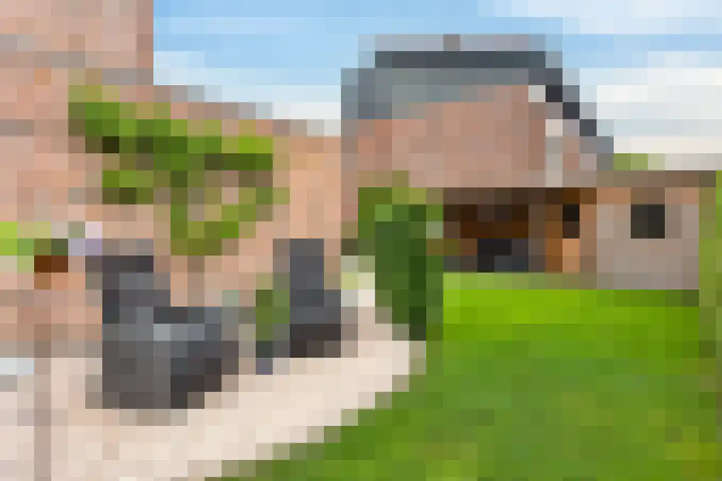 Zonnedauw 43 De Meern thumbnail 20