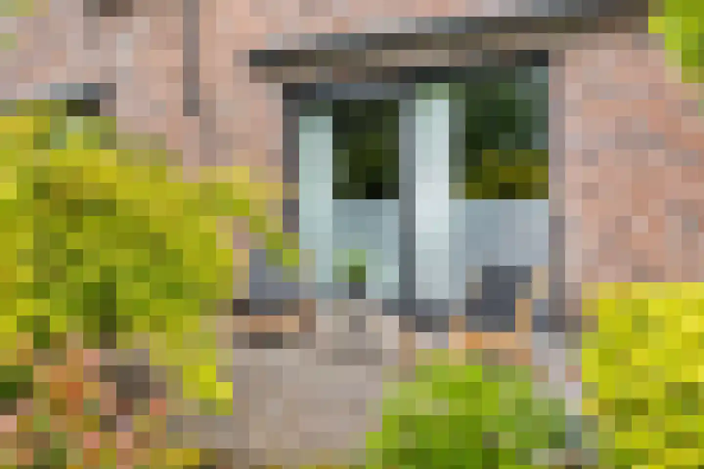Zonnedauw 43 De Meern thumbnail 35