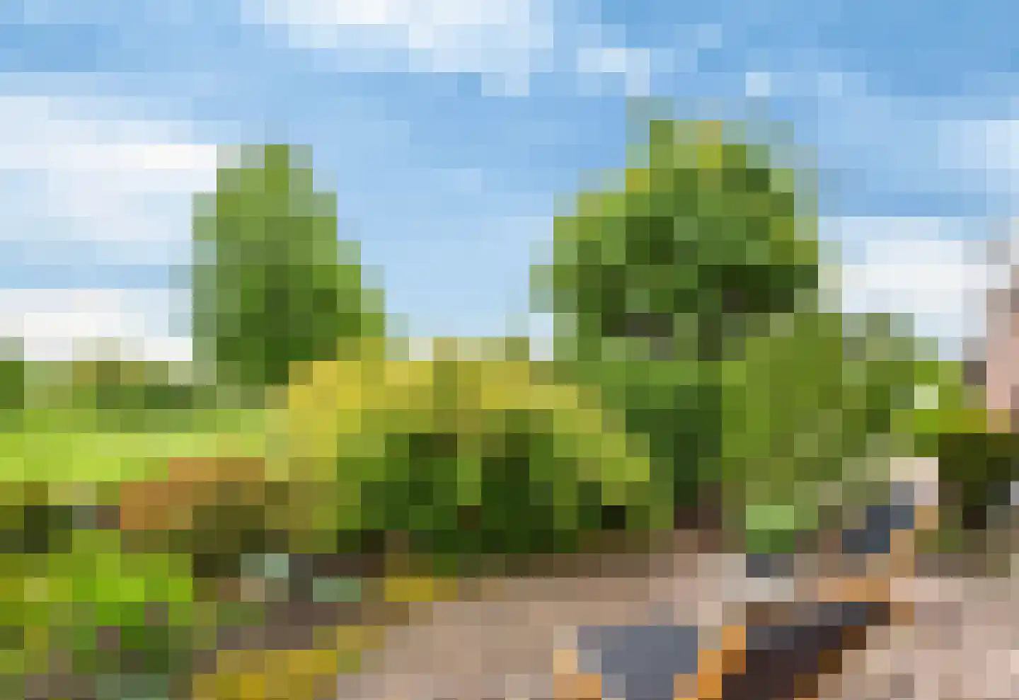 Zonnedauw 43 De Meern thumbnail 36