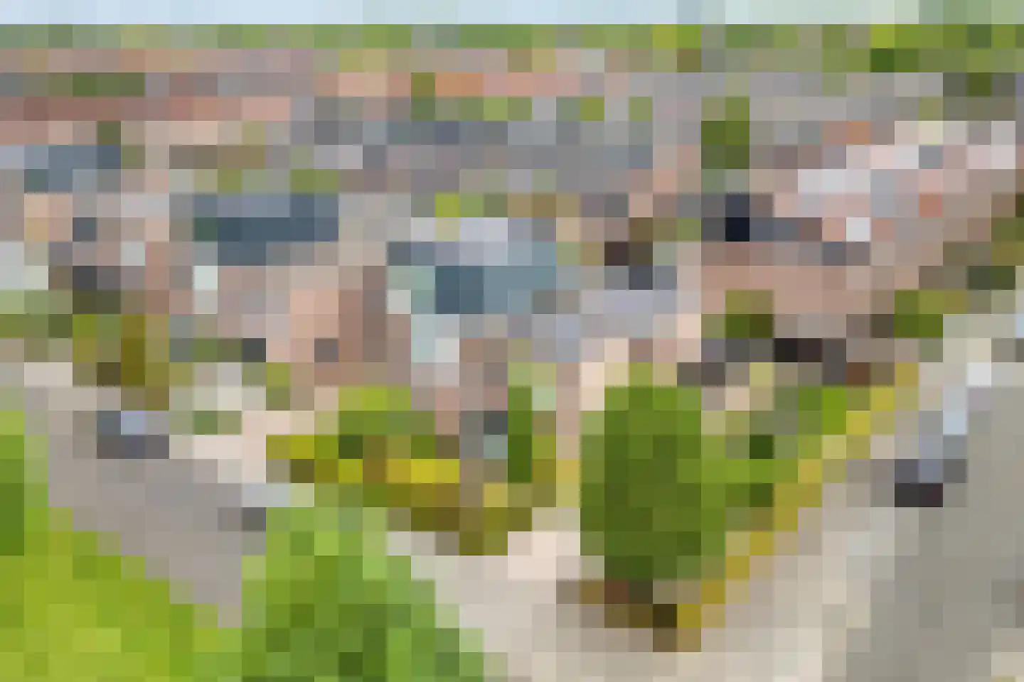 Zonnedauw 43 De Meern thumbnail 39