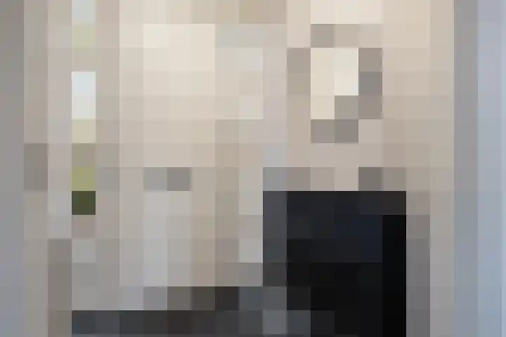 Zonnedauw 43 Schaijk thumbnail 12