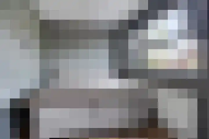 Zonnedauw 43 Schaijk thumbnail 14