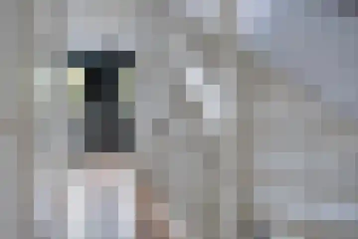 Zonnedauw 43 Schaijk thumbnail 21