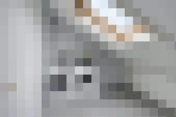 Zonnedauw 43 Schaijk thumbnail 24