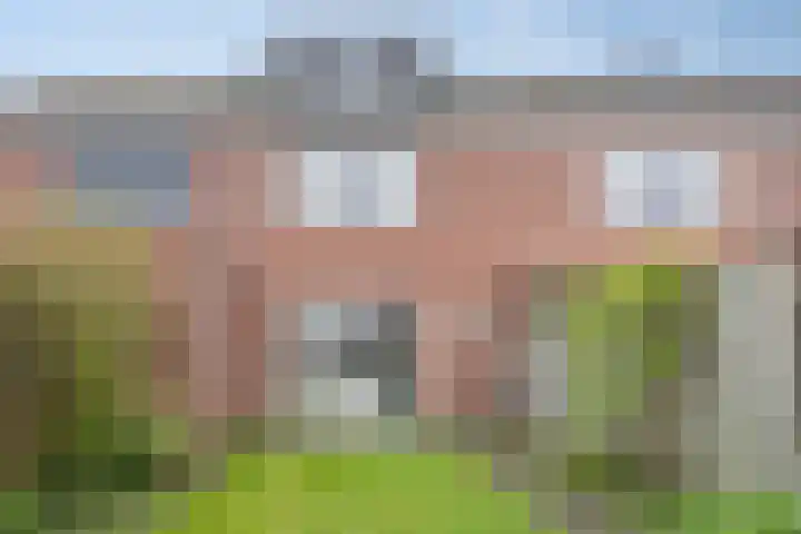 Zonnedauw 43 Schaijk thumbnail 25