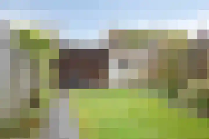 Zonnedauw 43 Schaijk thumbnail 26
