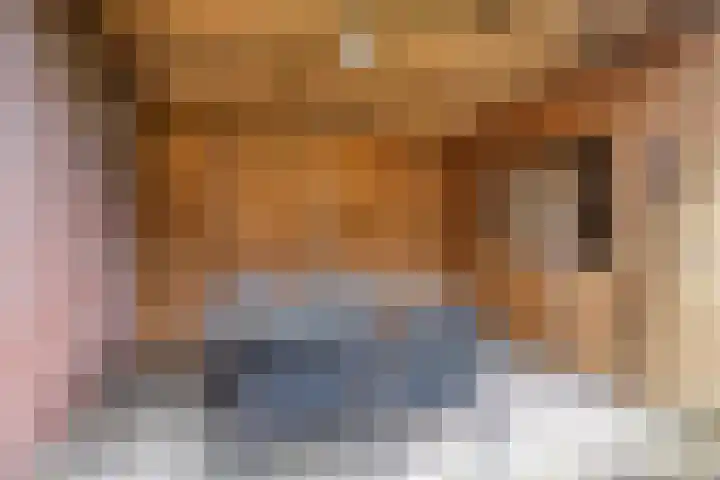 Zonnedauw 43 Schaijk thumbnail 27