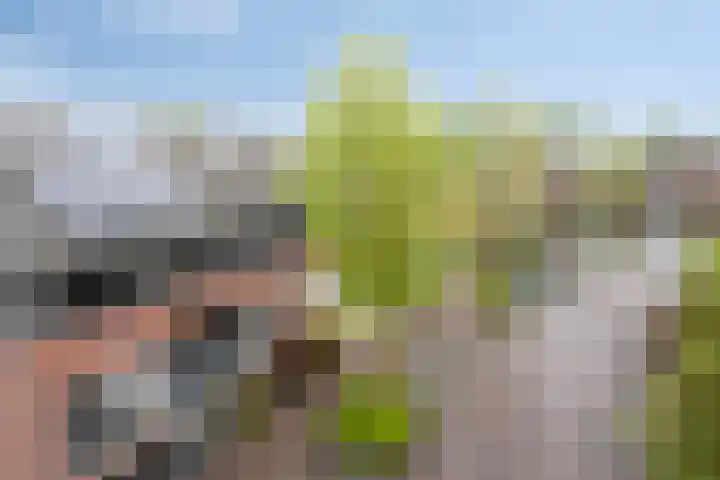 Zonnedauw 43 Schaijk thumbnail 28