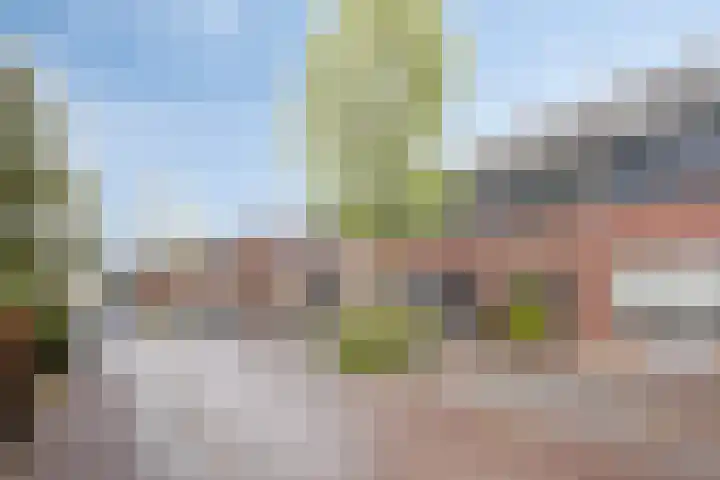 Zonnedauw 43 Schaijk thumbnail 29