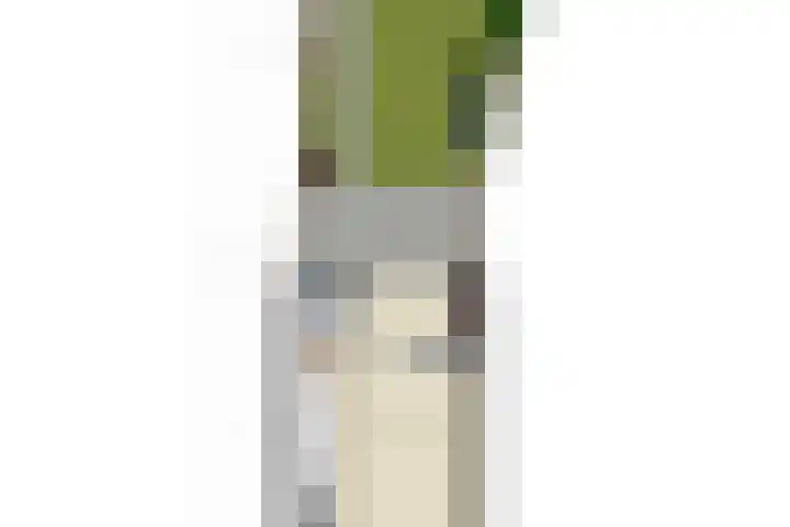 Zonnedauw 43 Schaijk thumbnail 30