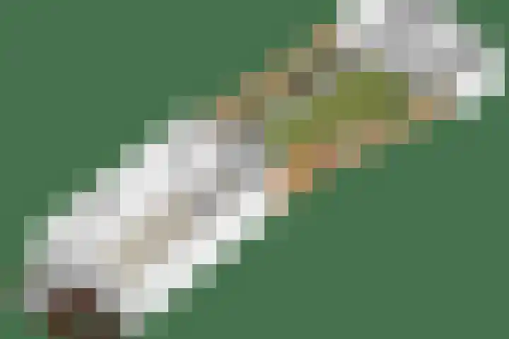 Zonnedauw 43 Schaijk thumbnail 31