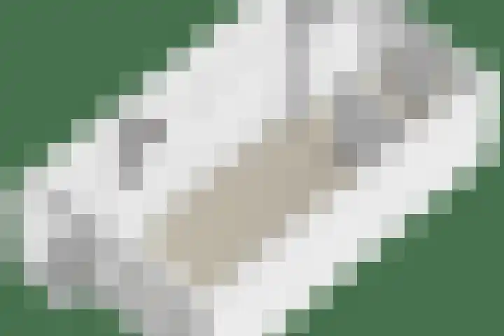 Zonnedauw 43 Schaijk thumbnail 33