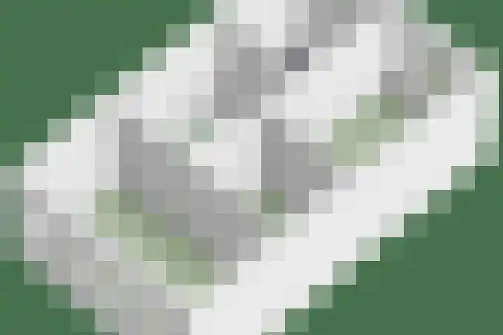Zonnedauw 43 Schaijk thumbnail 35
