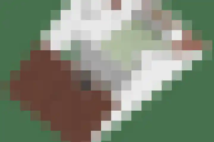 Zonnedauw 43 Schaijk thumbnail 37