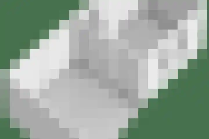 Zonnedauw 43 Schaijk thumbnail 39